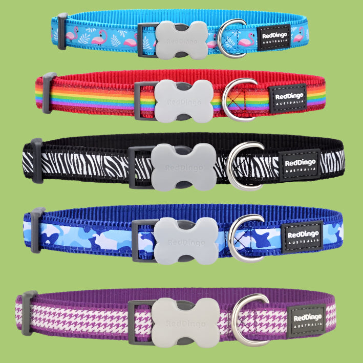 קולר רד דינגו