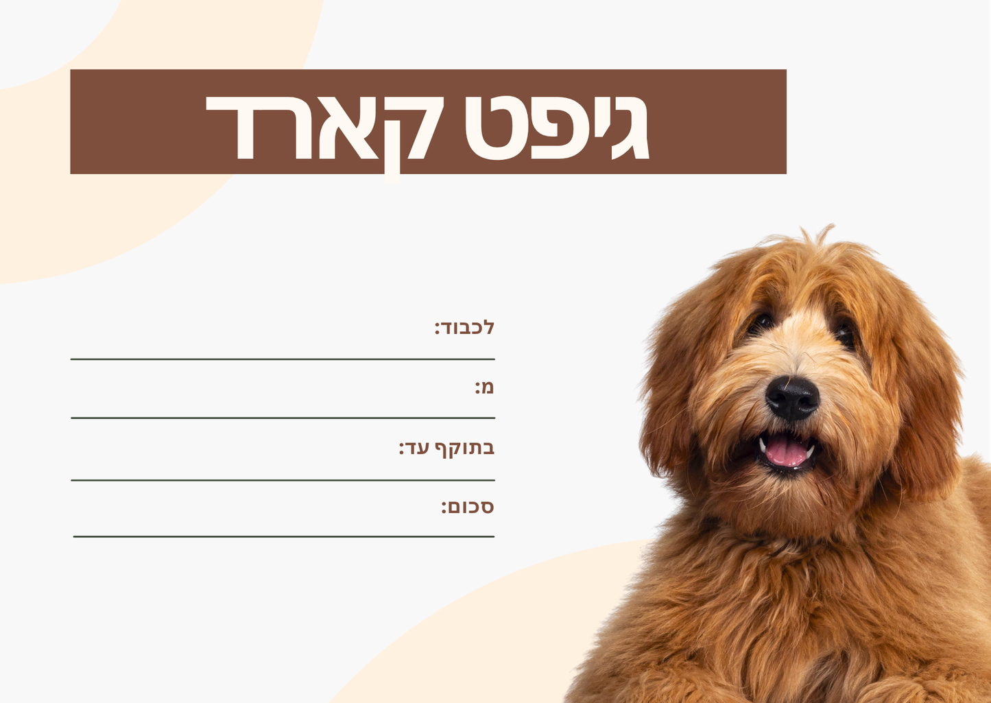 גיפט קארד - טבע הכלב ציוד כלבני