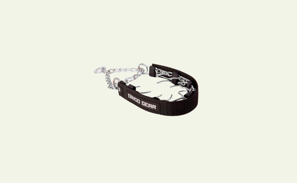 דינגו גיר - קולרים