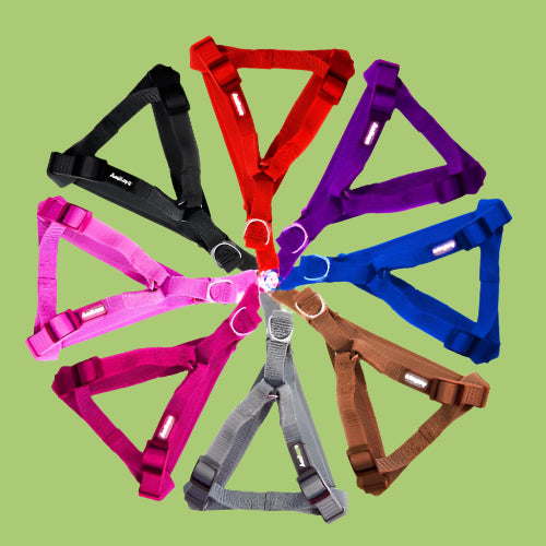 רתמת ניילון מאוזנת 20 מ"מ צבעונית לכלבים