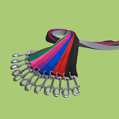 רצועת ניילון 25 מ"מ צבעונית