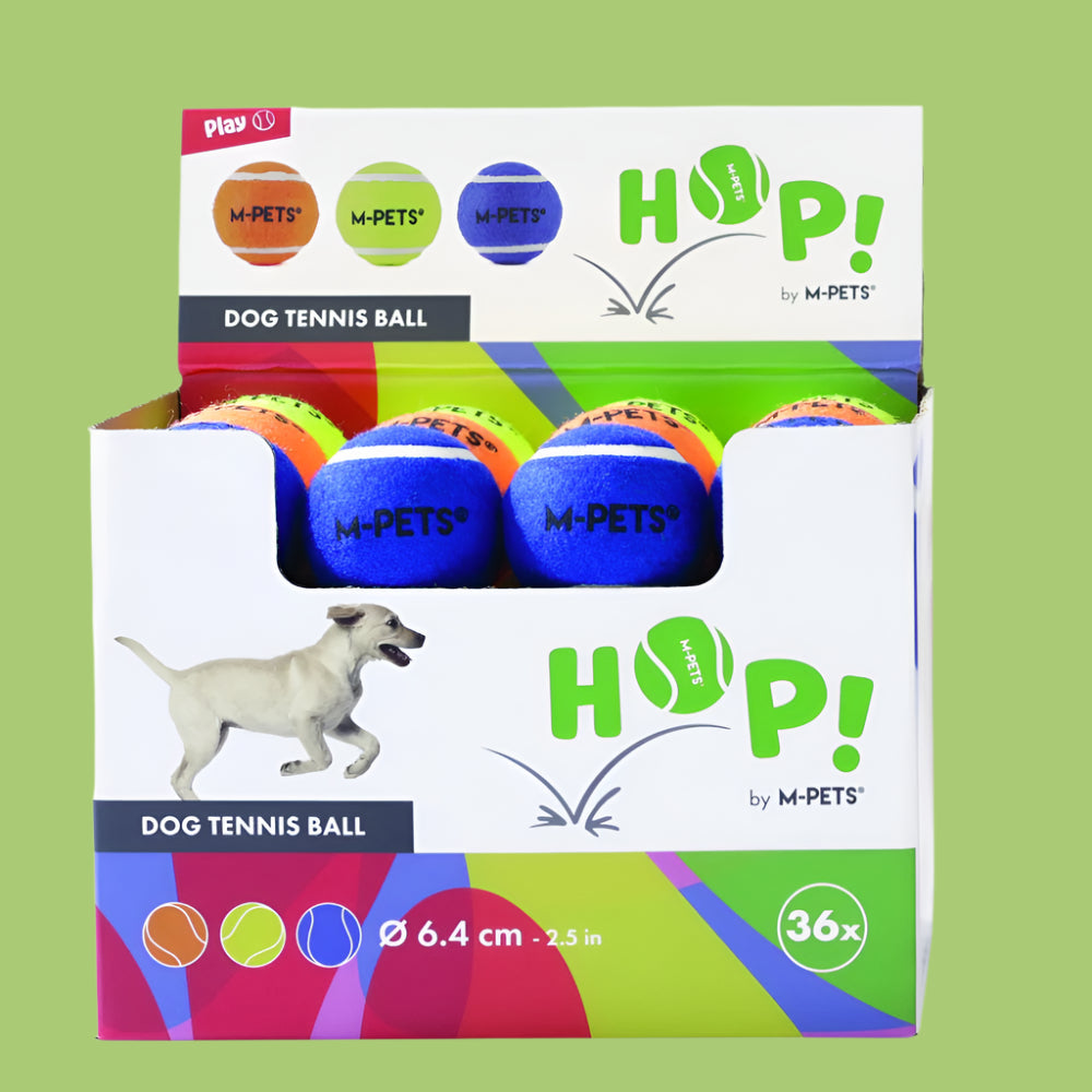 כדור טניס זרחני - משחק לכלב