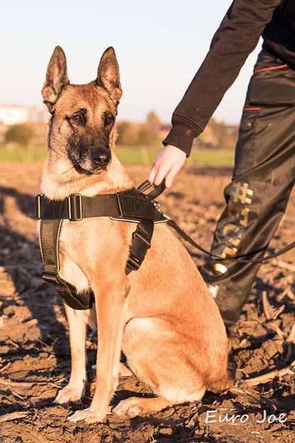 רתמת ניילון "הרקולס" – Euro Joe