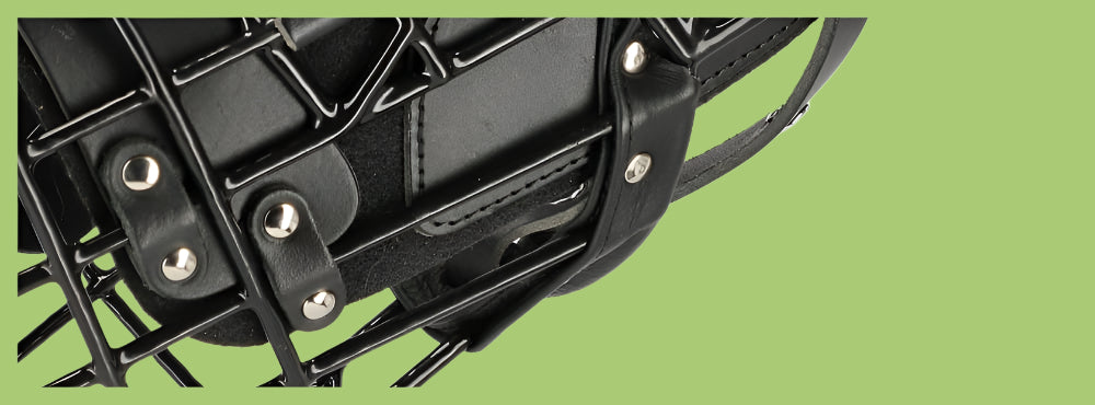 הזמם המתכתי בציפוי גומי – K9 מאלינואה