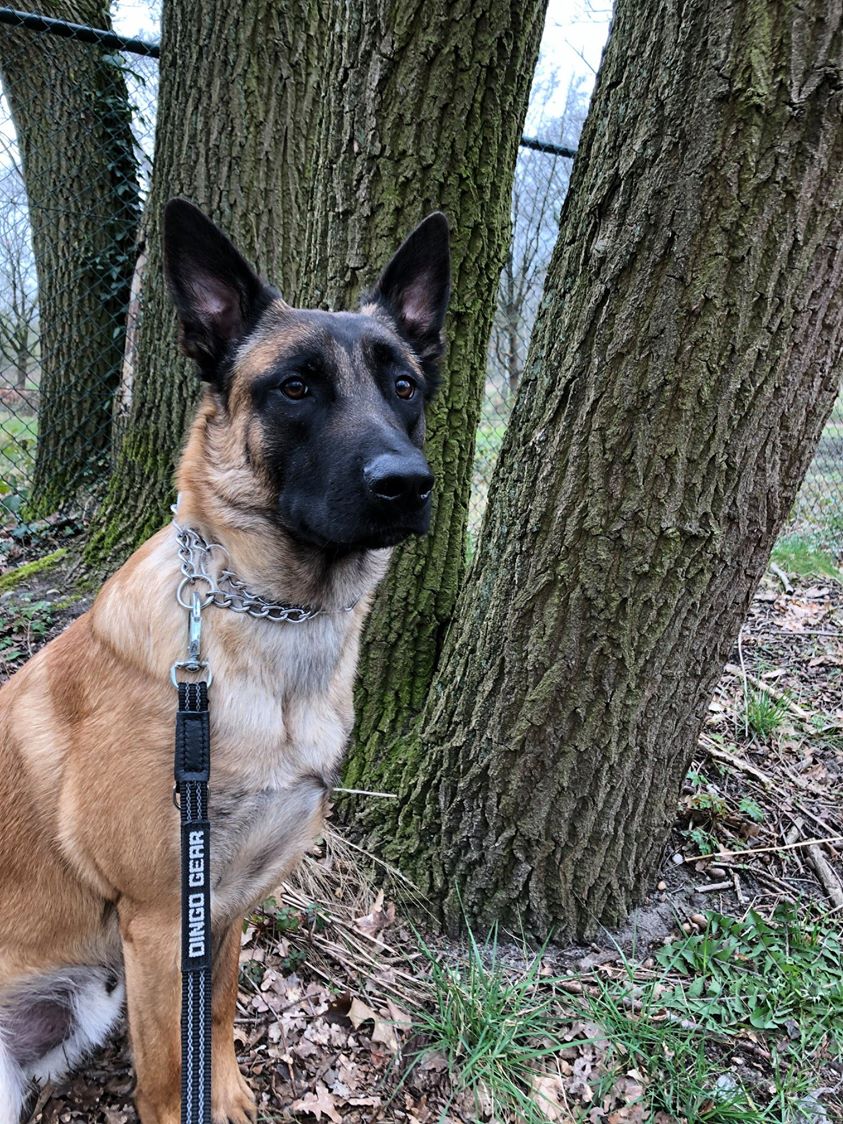 רצועת סטיילון בודדת עם ידית, סופר גריפ